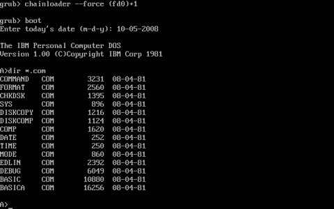 dos100_2.png
