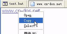 AkelPad_ContextMenu Plugin_CopyLink.png