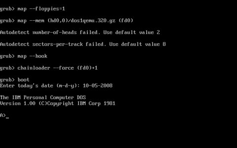 dos100_1.png
